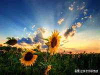 上海甄予网络科技有限公司