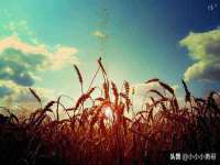 上海甄予网络科技有限公司