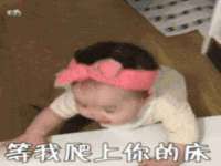 上海甄予网络科技有限公司