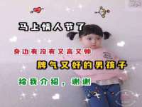上海甄予网络科技有限公司