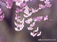 上海甄予网络科技有限公司