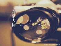 上海甄予网络科技有限公司