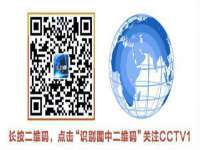 上海甄予网络科技有限公司