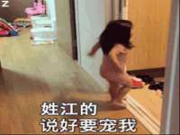 上海甄予网络科技有限公司
