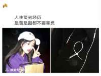 上海甄予网络科技有限公司