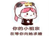 上海甄予网络科技有限公司