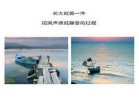 上海甄予网络科技有限公司