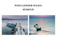 上海甄予网络科技有限公司