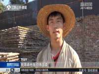 上海甄予网络科技有限公司