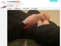 上海甄予网络科技有限公司