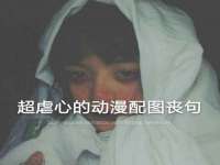 上海甄予网络科技有限公司