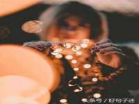 上海甄予网络科技有限公司