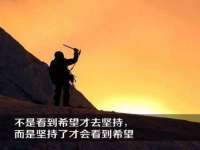 上海甄予网络科技有限公司