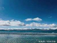 上海甄予网络科技有限公司