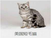 上海甄予网络科技有限公司