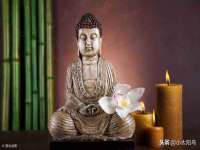 上海甄予网络科技有限公司