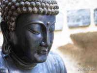 上海甄予网络科技有限公司