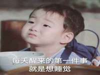 上海甄予网络科技有限公司