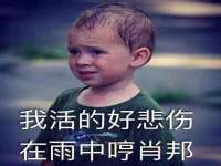 上海甄予网络科技有限公司