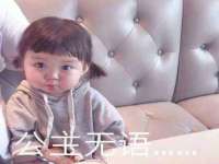 上海甄予网络科技有限公司