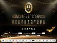 上海甄予网络科技有限公司