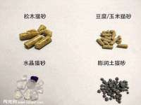 上海甄予网络科技有限公司