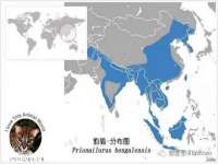 上海甄予网络科技有限公司