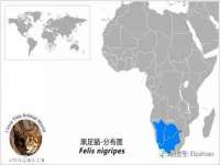 上海甄予网络科技有限公司
