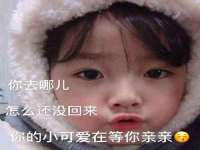 上海甄予网络科技有限公司