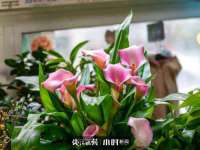上海甄予网络科技有限公司