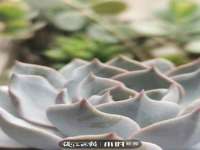 上海甄予网络科技有限公司