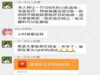 上海甄予网络科技有限公司
