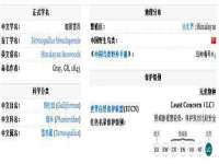 上海甄予网络科技有限公司