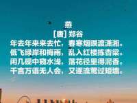 上海甄予网络科技有限公司