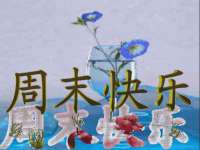 上海甄予网络科技有限公司