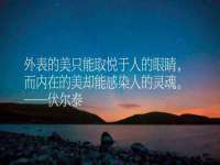 上海甄予网络科技有限公司