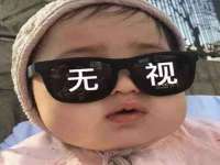 上海甄予网络科技有限公司
