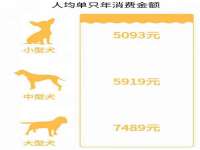 上海甄予网络科技有限公司