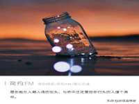 上海甄予网络科技有限公司
