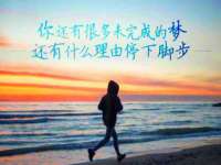 上海甄予网络科技有限公司