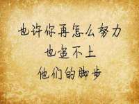 上海甄予网络科技有限公司