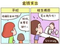 上海甄予网络科技有限公司