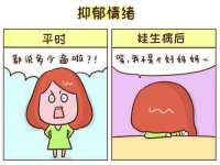 上海甄予网络科技有限公司