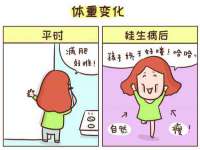 上海甄予网络科技有限公司