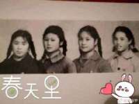 上海甄予网络科技有限公司