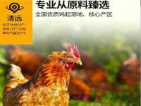 上海甄予网络科技有限公司