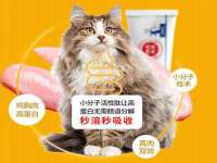 上海甄予网络科技有限公司