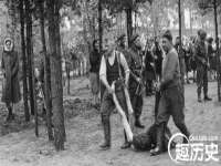 上海甄予网络科技有限公司