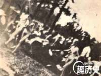 上海甄予网络科技有限公司