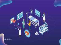 上海甄予网络科技有限公司